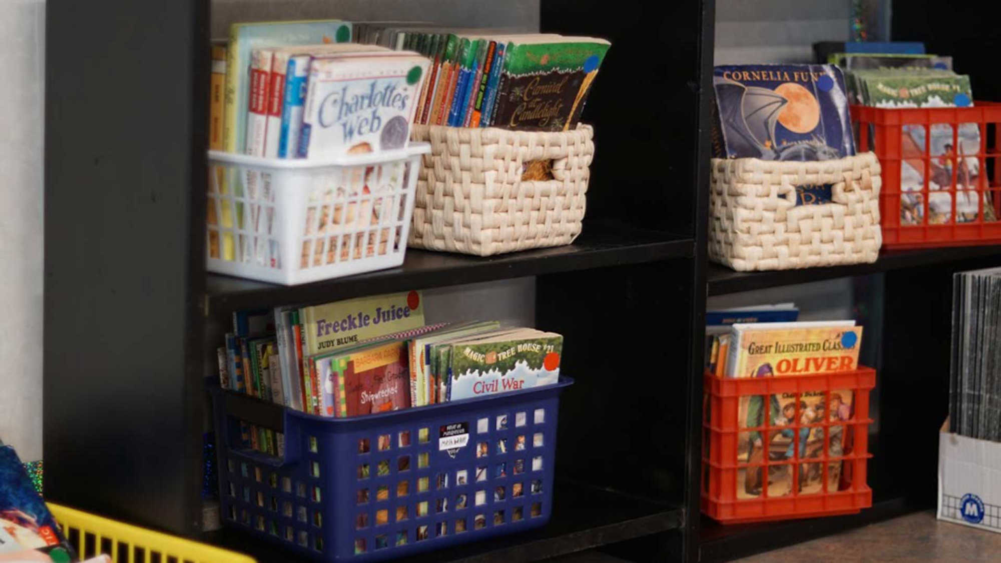 DI is a great place to find inexpensive books. The baskets and crates also came from DI.